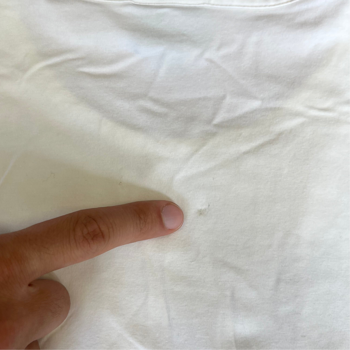 Roberto Cavalli T shirt