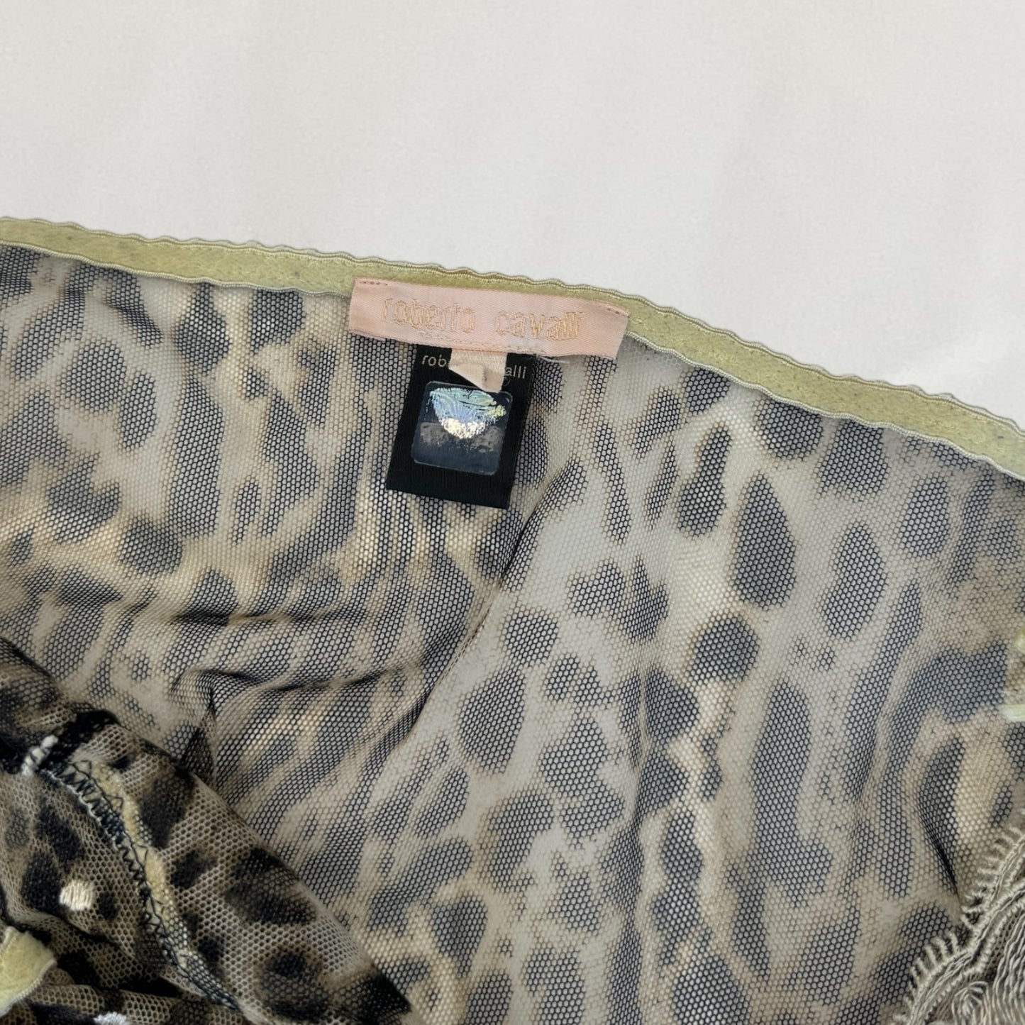 Roberto Cavalli sheer leopard print dress
