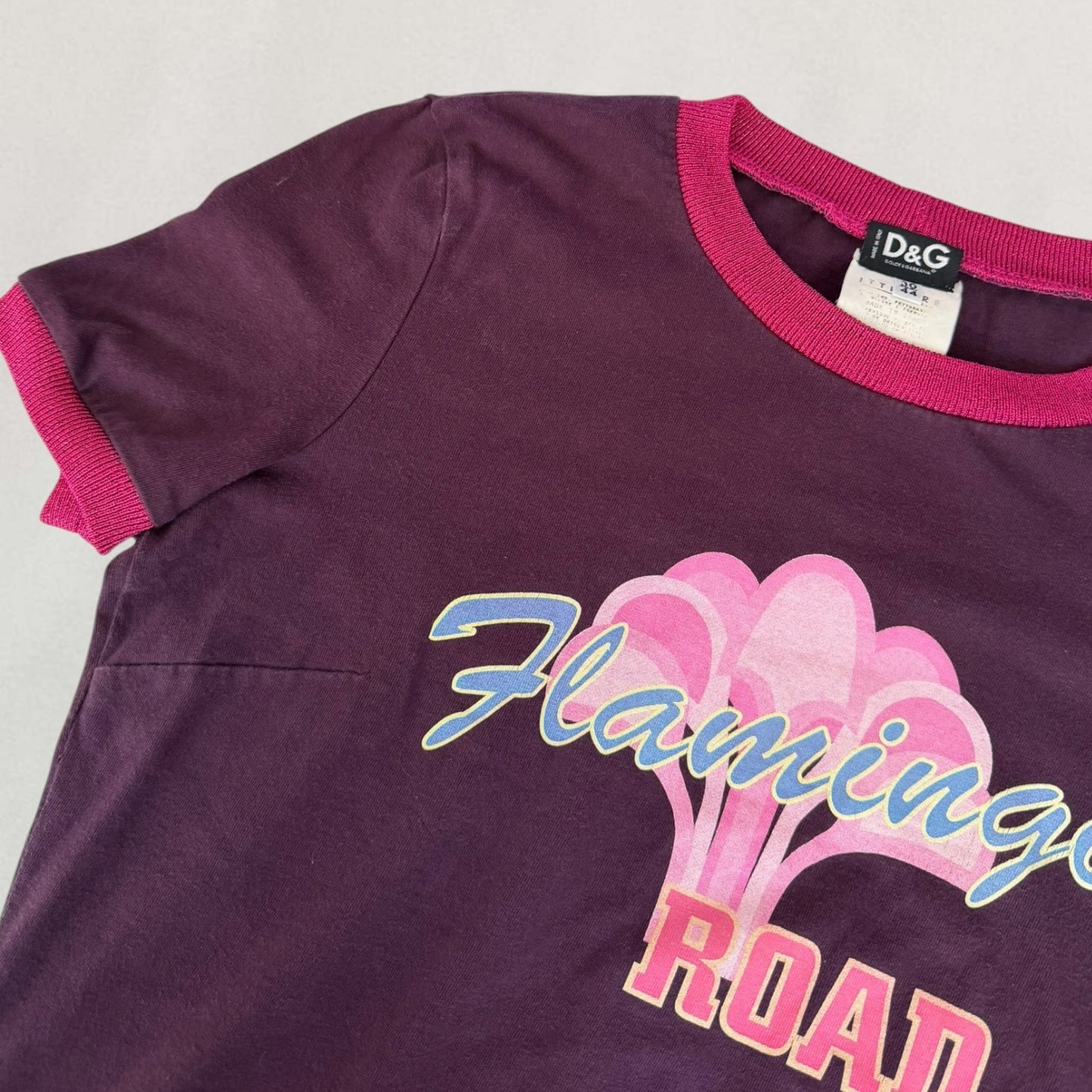 Dolce & Gabbana flamingo T-shirt