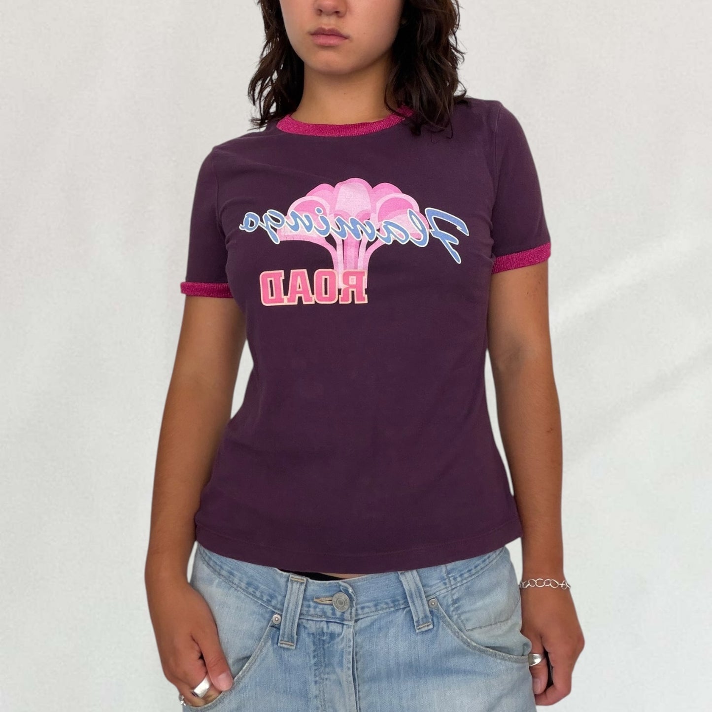 Dolce & Gabbana flamingo T-shirt