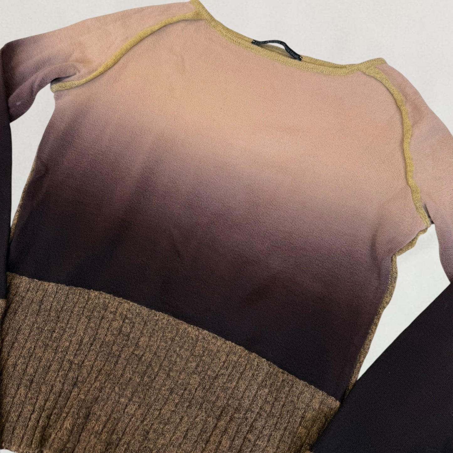 Roberto Cavalli gradient jumper