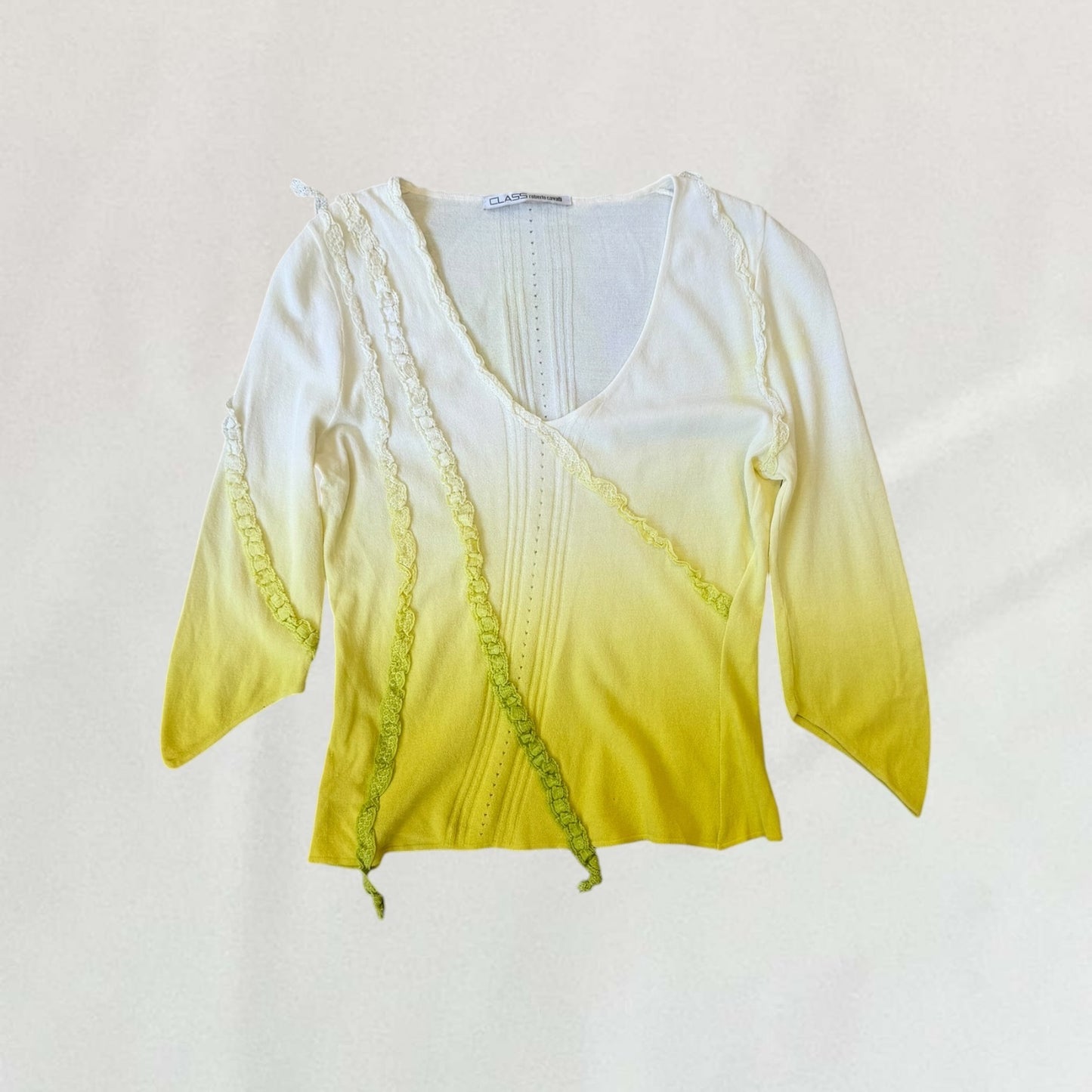 Roberto Cavalli gradient top