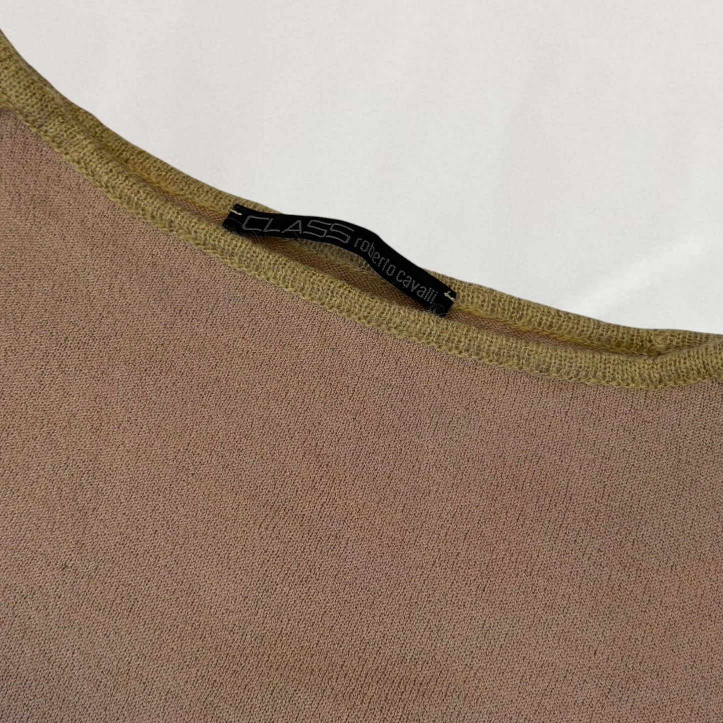 Roberto Cavalli gradient jumper