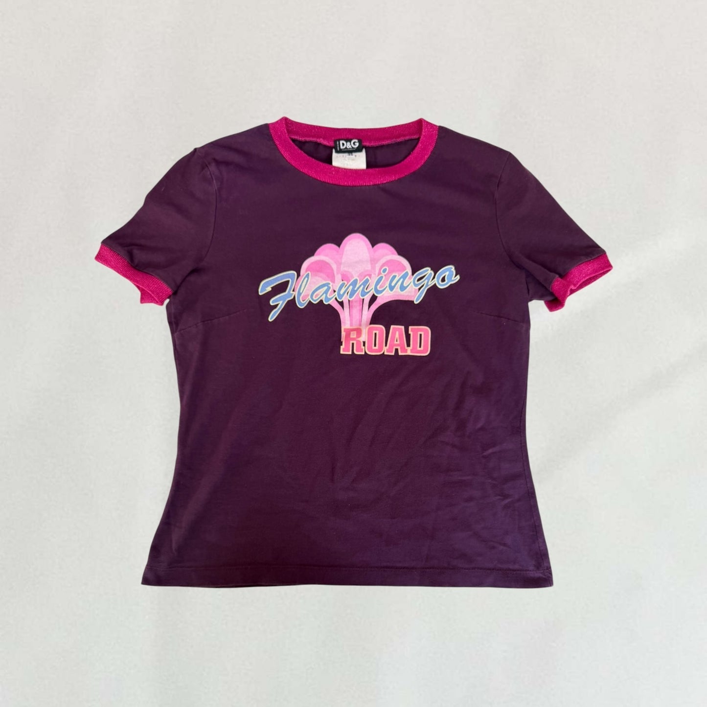 Dolce & Gabbana flamingo T-shirt